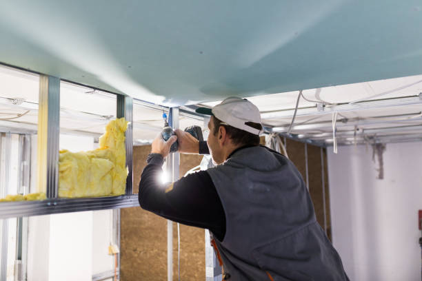 Best Insulation for New Construction  in Sylvania, AL